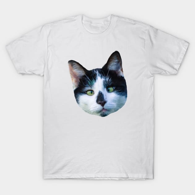 Funny Cat Head T-Shirt by VBleshka